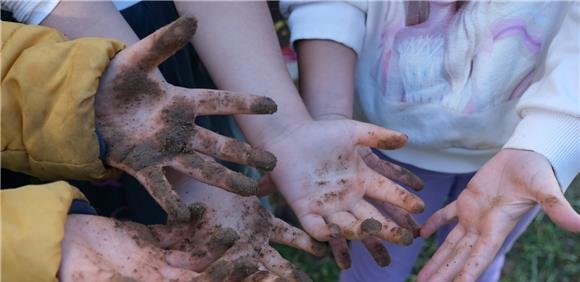 Visita à Quinta do Peral + Jogos de Tabuleiro sobre a água