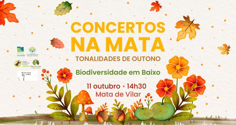 Concertos na Mata - Tonalidades de Outono