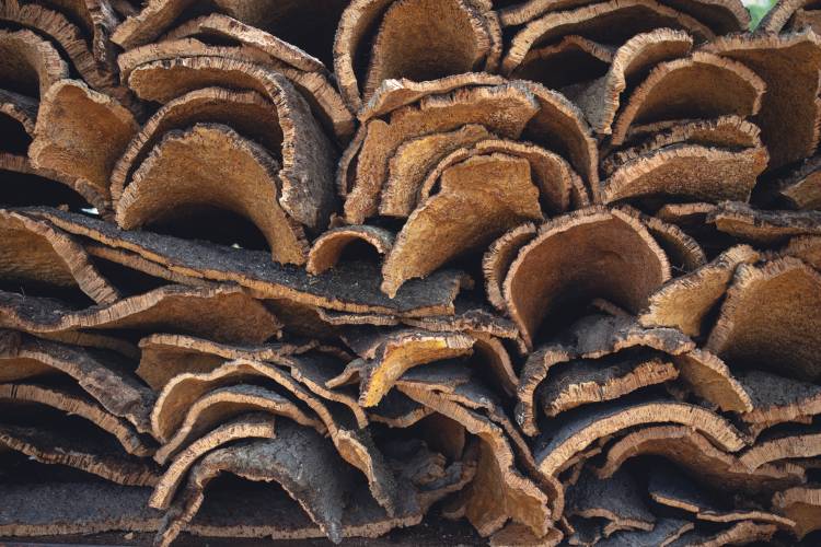 Hoje como Ontem: A Fábrica de Cortiça de Sines