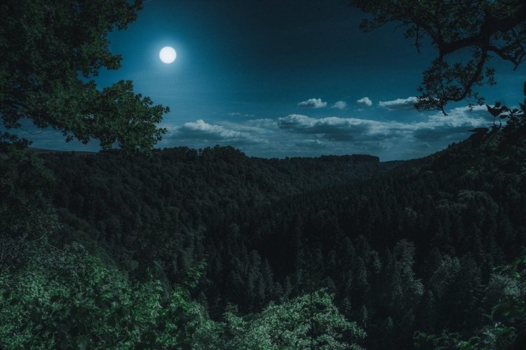 Caminhada de Super Lua Cheia na Vila e Serra de Sintra