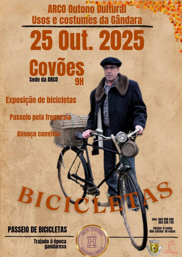 Bicicletas