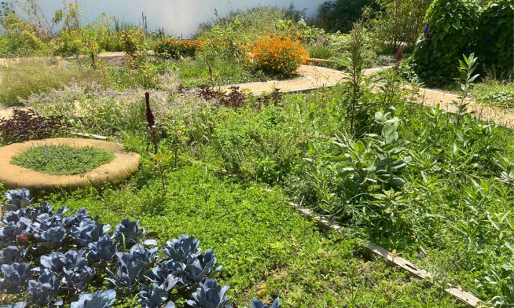 Visita a'O Chão das Artes - Jardim Botânico (11 outubro)