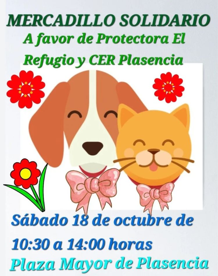 Mercadillo solidario por el Refugio y CER Plasencia