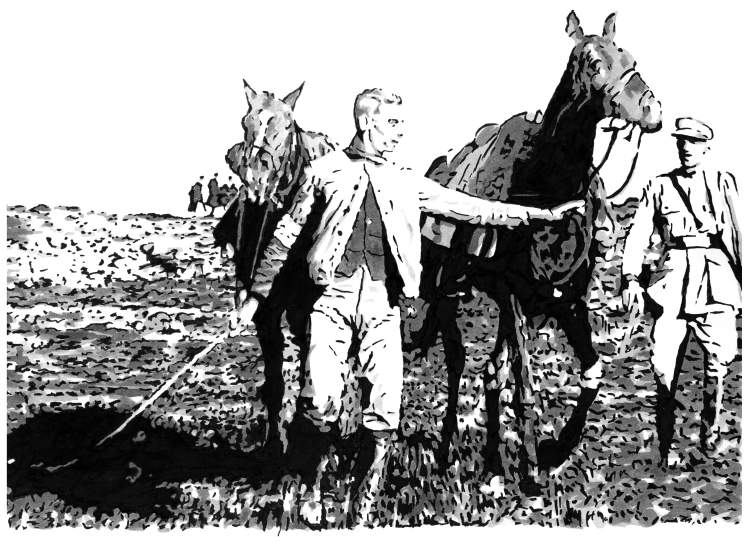 Exposição: NÃO NAVEGA. CAVALGA