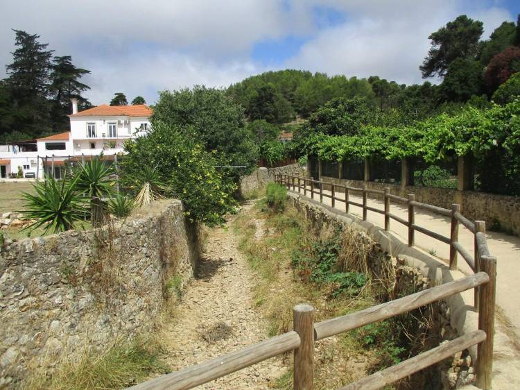Caminhando na Ribeira de Vinhas