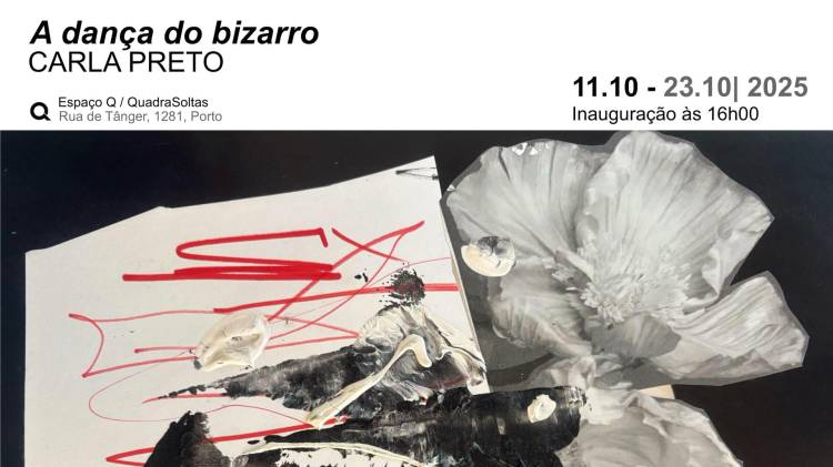 A dança do bizarro | Carla Preto