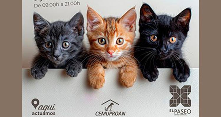 Jornadas de Adopción Animal