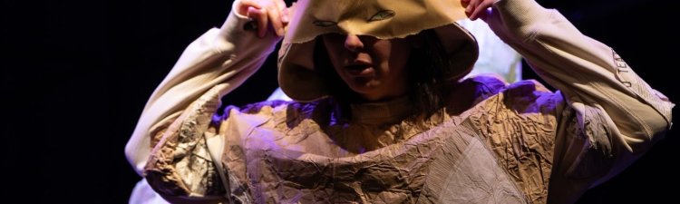 A menina que pintava pássaros 