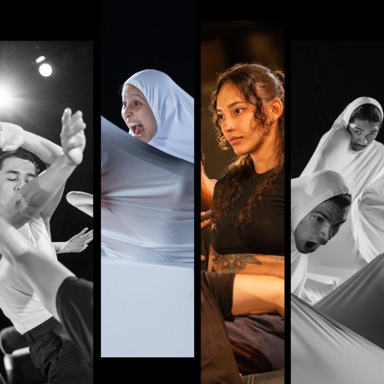 Espectáculo de danza Anatomía del viento