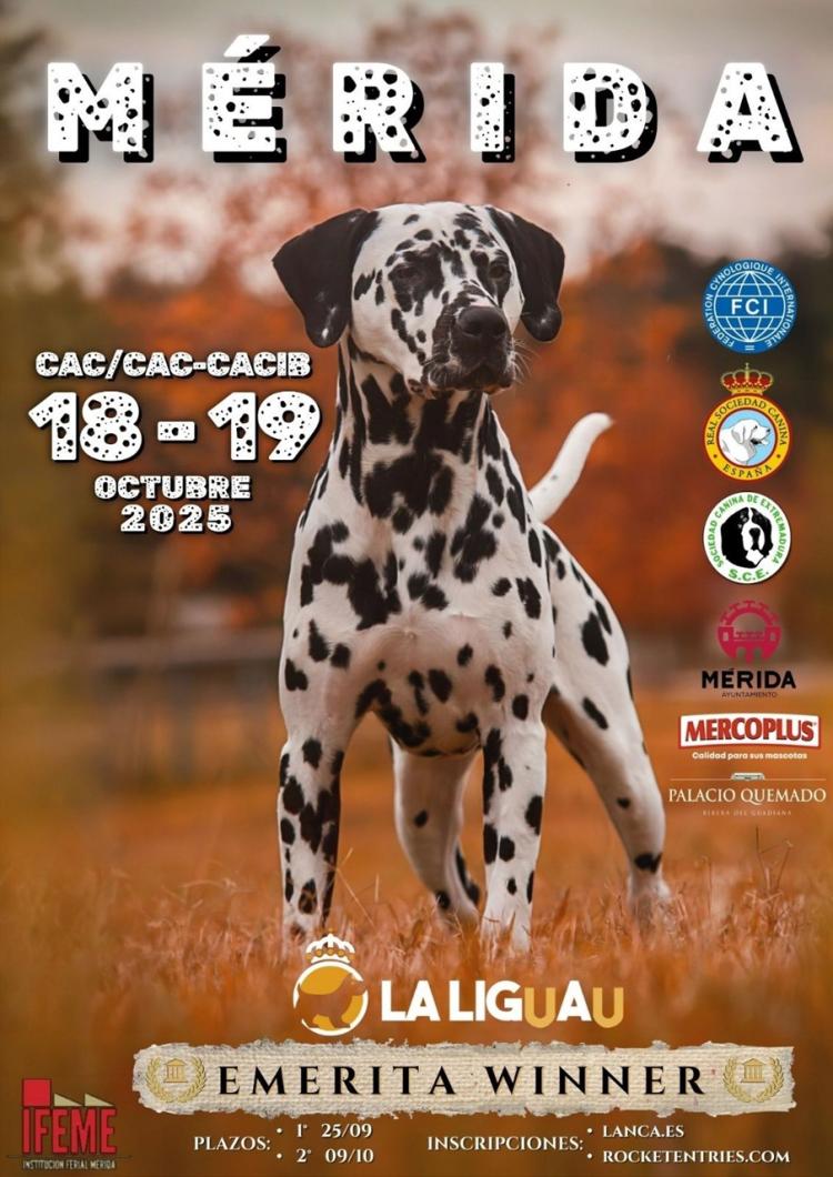 Exposición Nacional e Internacional ‘Emerita Winner 2025’