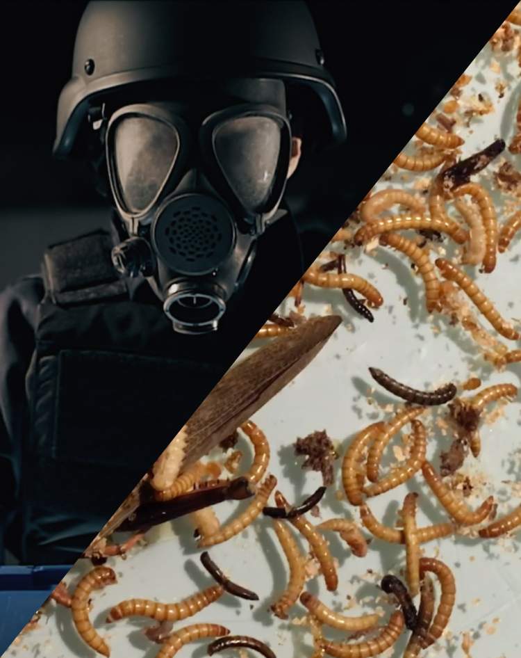  CINE HALLOWEEN: CURTAS DE ARREPIAR    