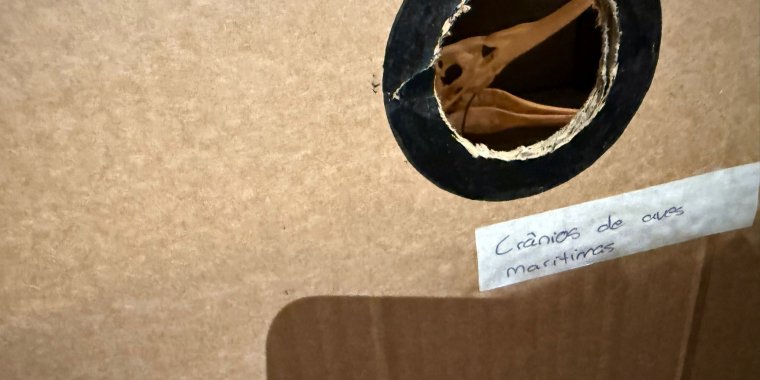 Exposição 'Museu do Mar no Museu do Mar' - Oficinas Plasticus Maritimus