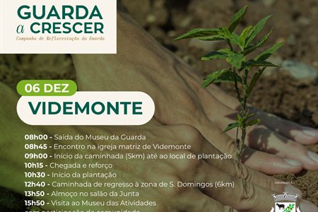 REFLORESTAÇÃO | Guarda a Crescer Campanha de Reflorestação da Guarda