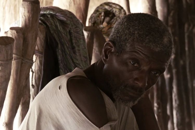 ‘O Zé quer saber porquê’