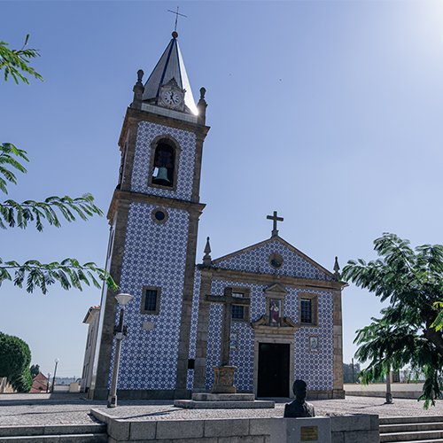 VII Ciclo de Órgão de Tubos