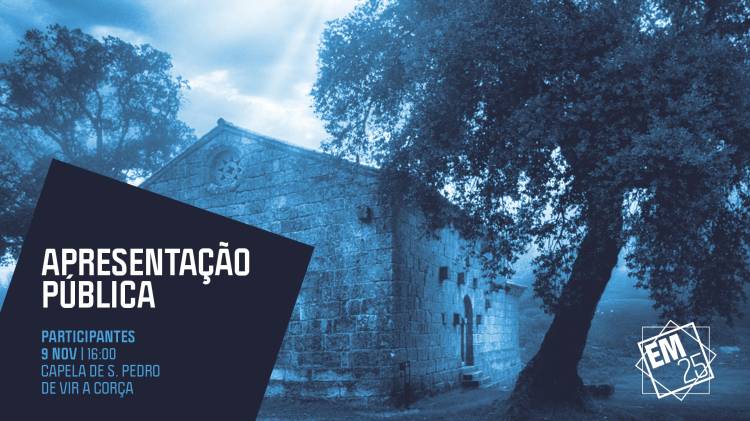 ENCONTROS MED 25 | Apresentação Pública Final com Formadores e Participantes