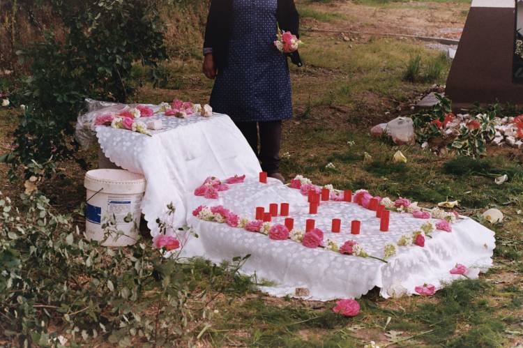 Midnight Zone [Zona da Meia-Noite]