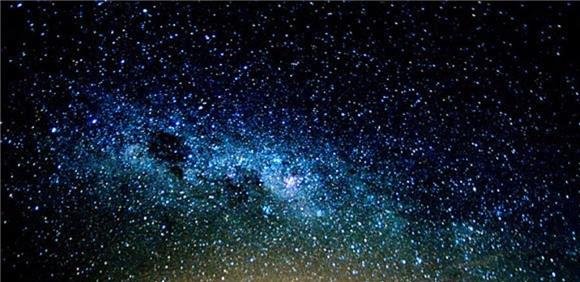 Ciclo de Passeios Natureza 2025 - Pelo Mundo das Pequenas Coisas