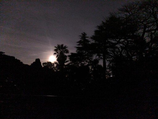 Visita noturna ao Jardim Botânico de Lisboa