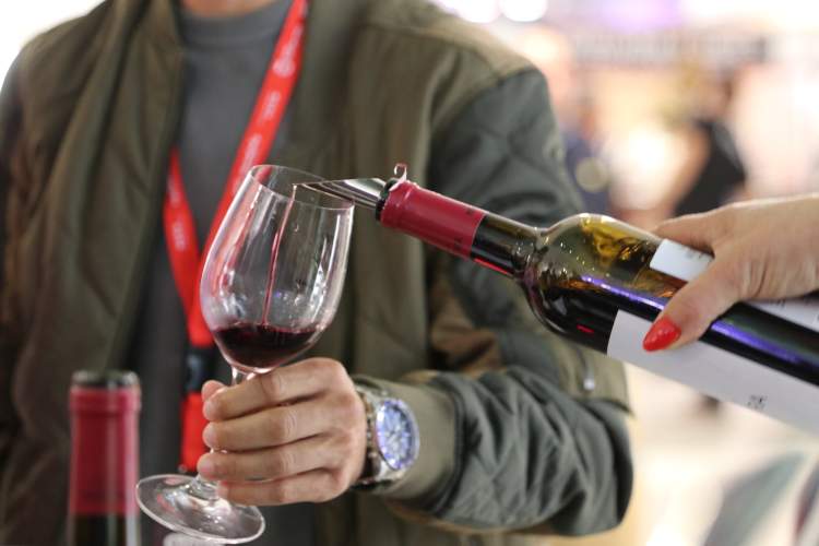 Festa da Vinha e do Vinho