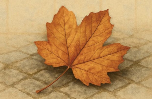 Concerto Sons de Outono