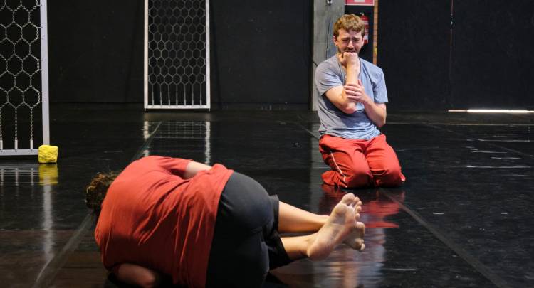 Fimp'25 · A Tela Rasgada