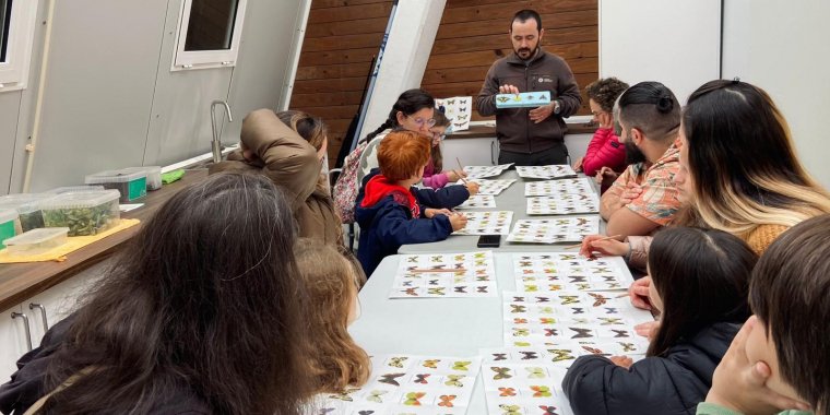 Há Pokémons no Borboletário!