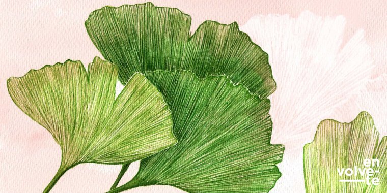 Ateliê: Ilustração botânica no Orquidário, Parque Marechal Carmona