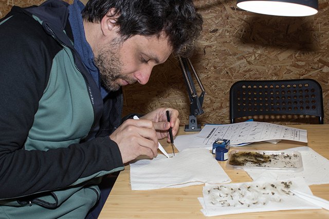 O Que Comem as Corujas na Fábrica de Pólvora de Vale de Milhaços?