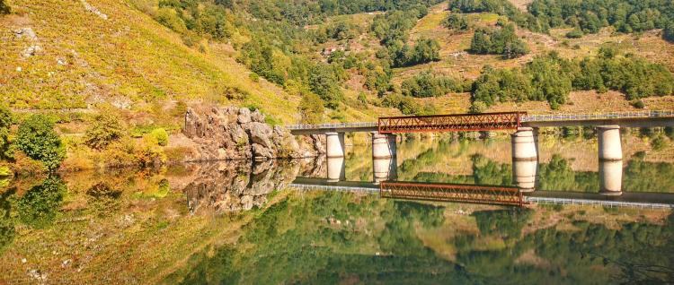 RUTA COLORES DE LOS VIÑEDOS - RIBEIRA SACRA - Domingo 26/10/25