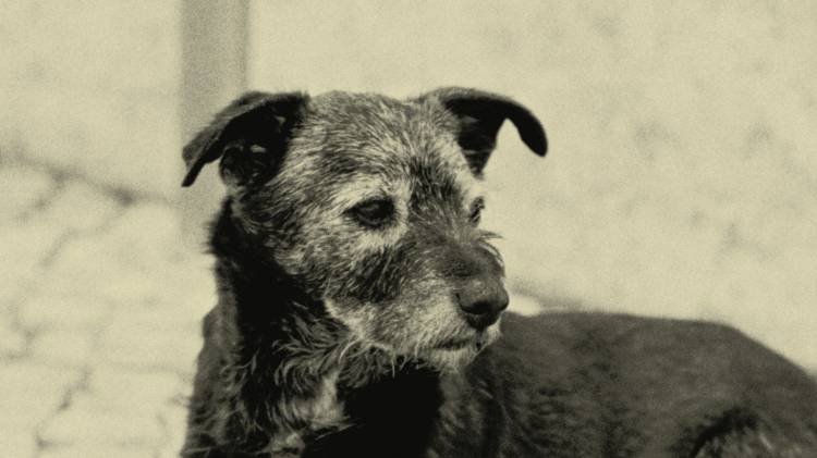 Programa Educativo: Interruptores #1—5