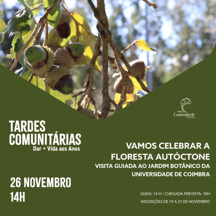 Tardes Comunitárias: Vamos celebrar a Floresta Autóctone – Visita guiada ao Jardim Botânico da Universidade de Coimbra