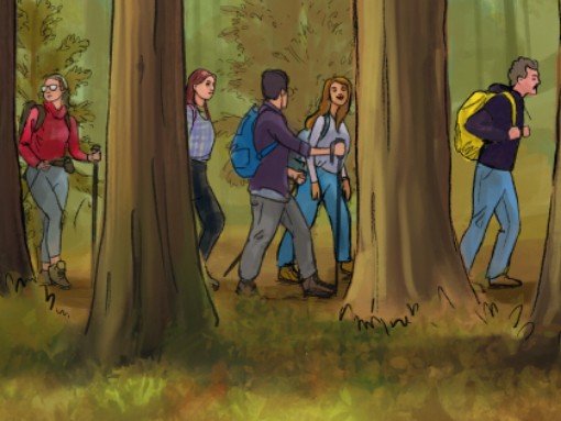 WALK & ART FEST – 8.ª edição