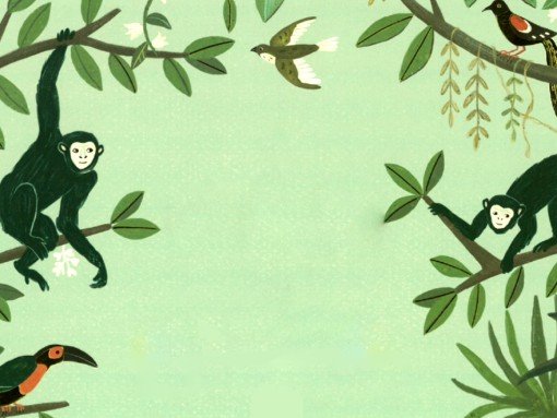 HISTÓRIAS VIVAS| “A ORIGEM DAS ESPÉCIES DE CHARLES DARWIN”, de Sabina Radeva