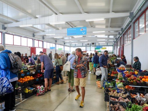 ANIMAÇÃO MUSICAL NO VIV’O MERCADO – NOVEMBRO