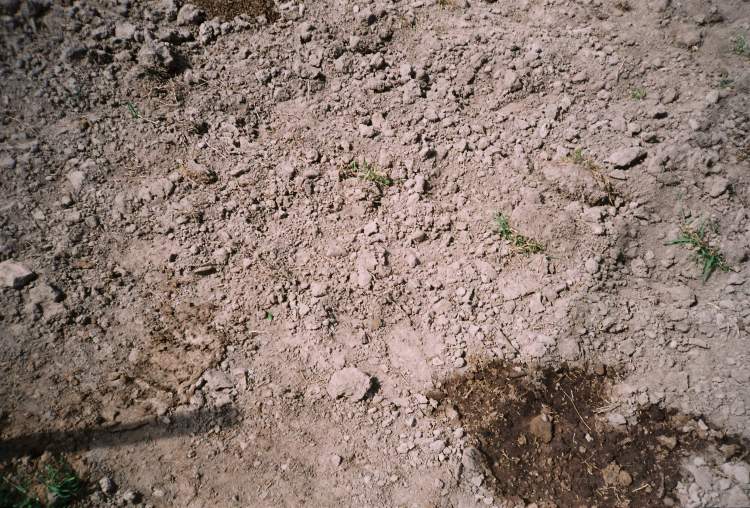 Recital Terra de Inverno