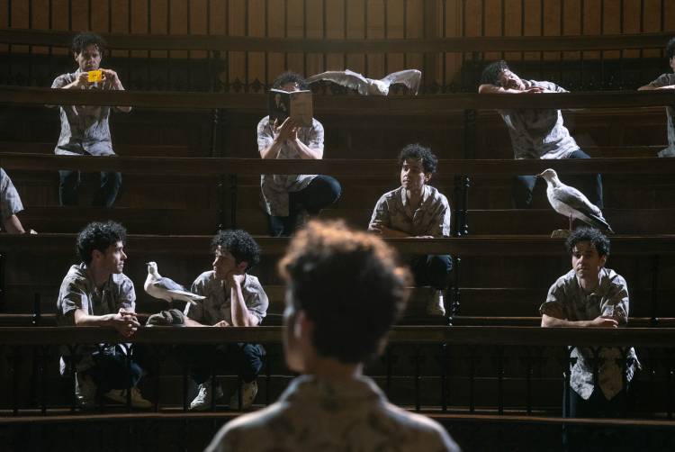 Só mais uma Gaivota, de Inês Barahona e Miguel Fragata