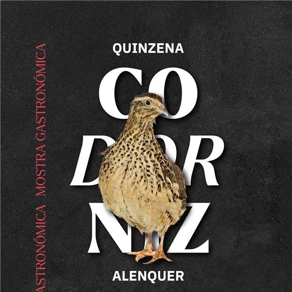 Quinzena da Codorniz 2025