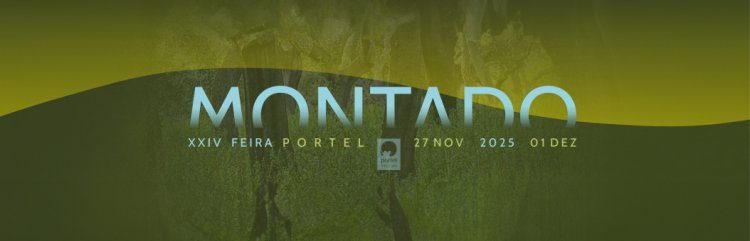 XXIV Feira do Montado