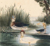 Taller Familiar: 'Elefantes, leones, hipopótamos y más animales en el Museo.'