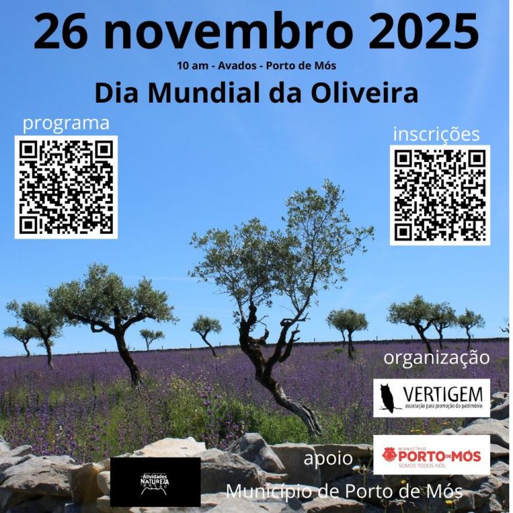 Dia Mundial da Oliveira - Olival tradicional, um património de todos nós