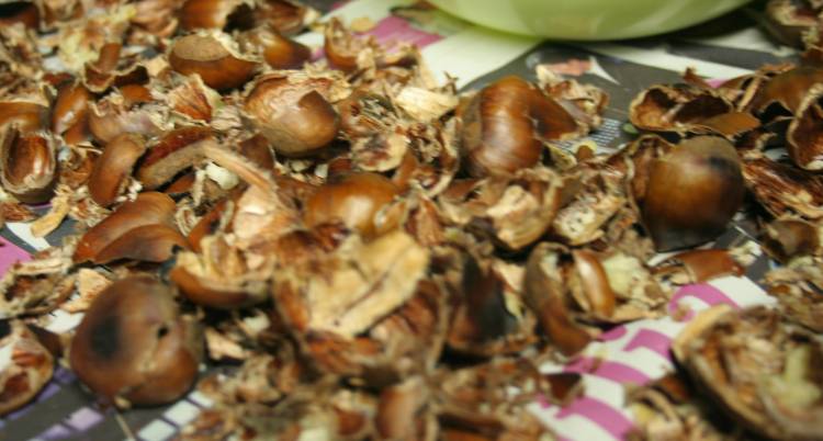 Magusto d’Os Galitos - Sobral de S. Miguel