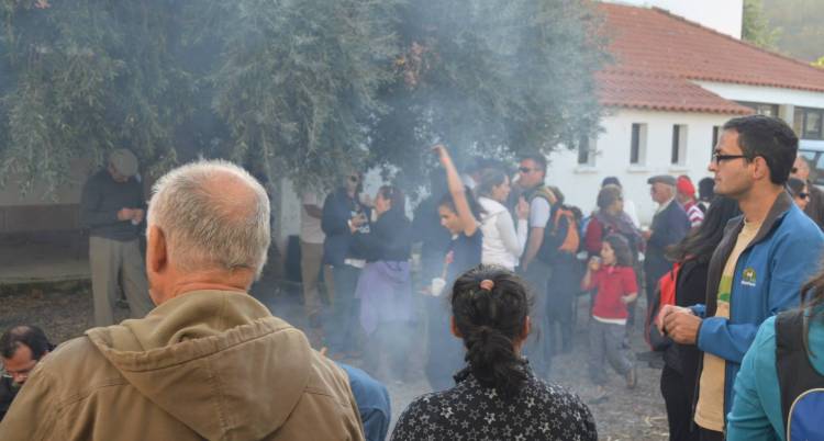 Rota dos Castanheiros e Magusto Tradicional