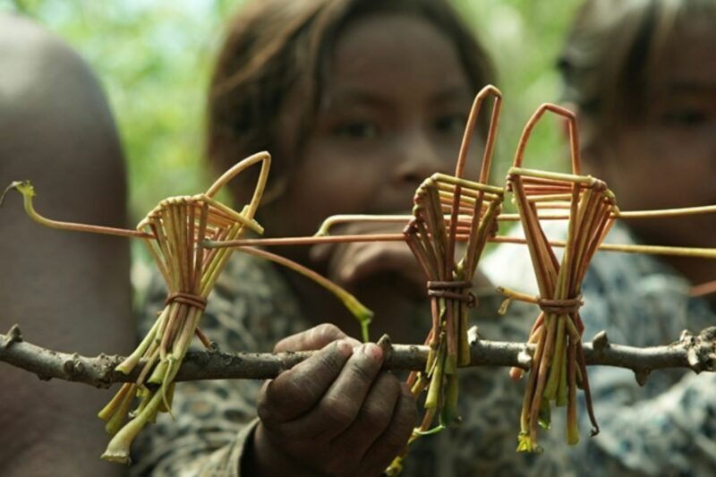 cinemaVivo - Do Colo da Terra, de  Renata Meirelles e David Vêluz