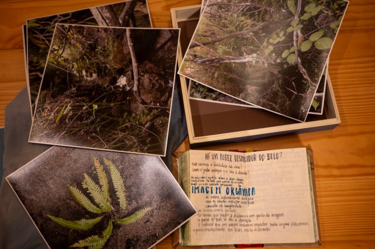 Ser Preciso, Ser Aqui: Conversas Com Pessoas Dotadas De Minúcia