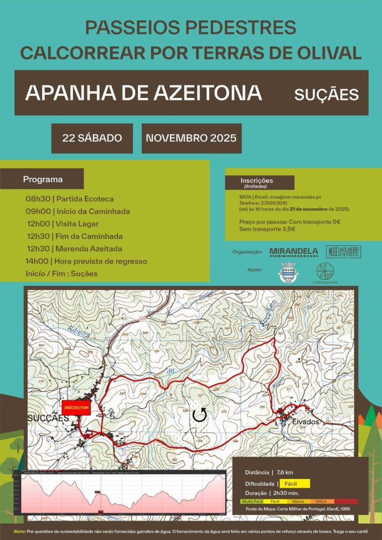 Passeio Pedestre 'Apanha de Azeitona' | Suçães