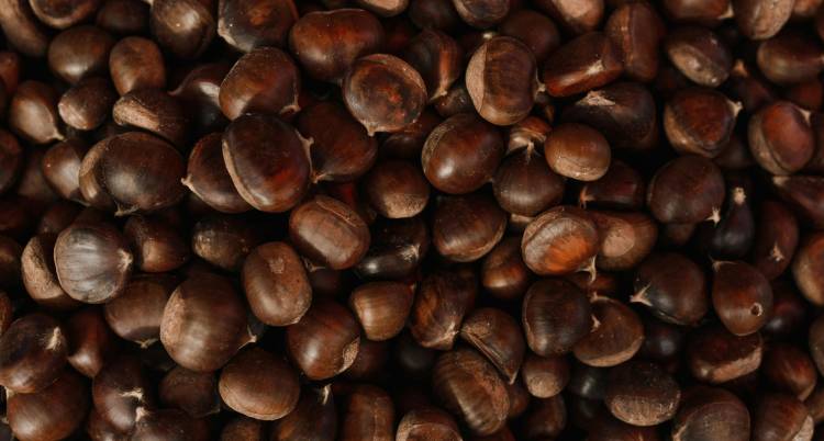 Magusto Comunitário na Fatela