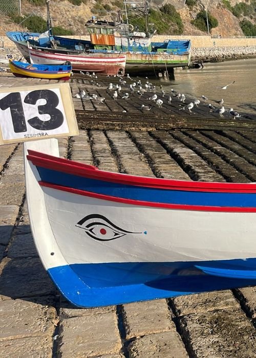 Domingo às 11... No Museu -  As Artes de Pesca