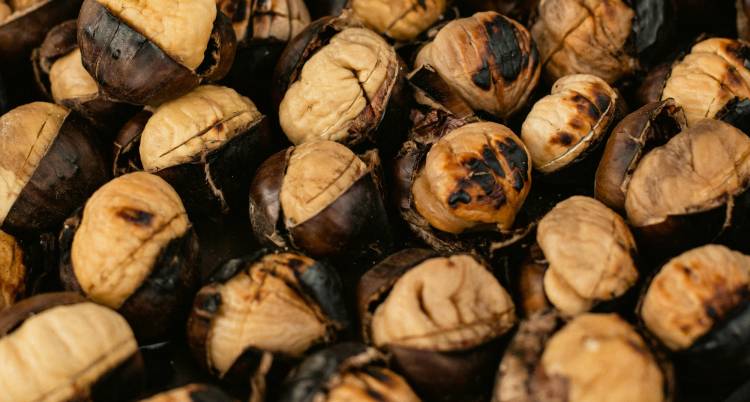 Feira de São Martinho em Janeiro de Cima