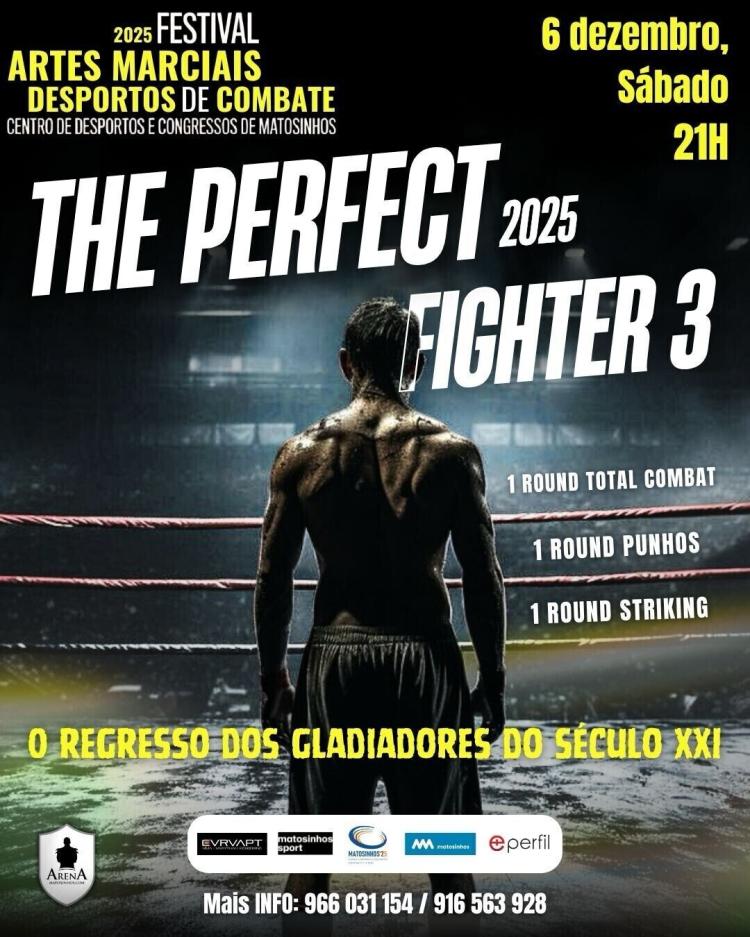 The Perfect Fighter 3